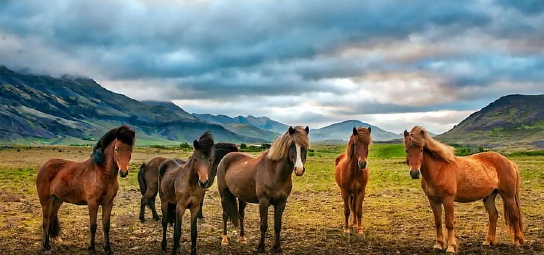 القوة والأداء